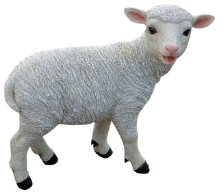 Standing Yorkshire Lamb