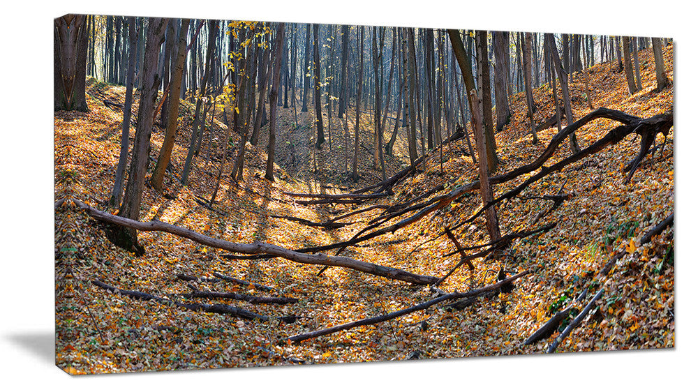 Thick Autumn Forest Panorama, Landscape Canvas Art Print, 40x20