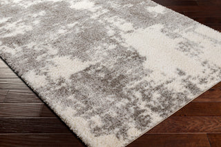 Cloudy shag CDG-2318 Gray/White Machine Woven 7'10" x 10' Rug