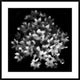 "Early Sensation" Framed Digital Print by Yvette Depaepe, 38"x38"
