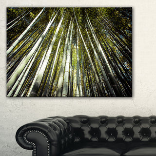 "Long Bamboos in Bamboo Forest" Forest Canvas Wall Art Print, 40"x30"