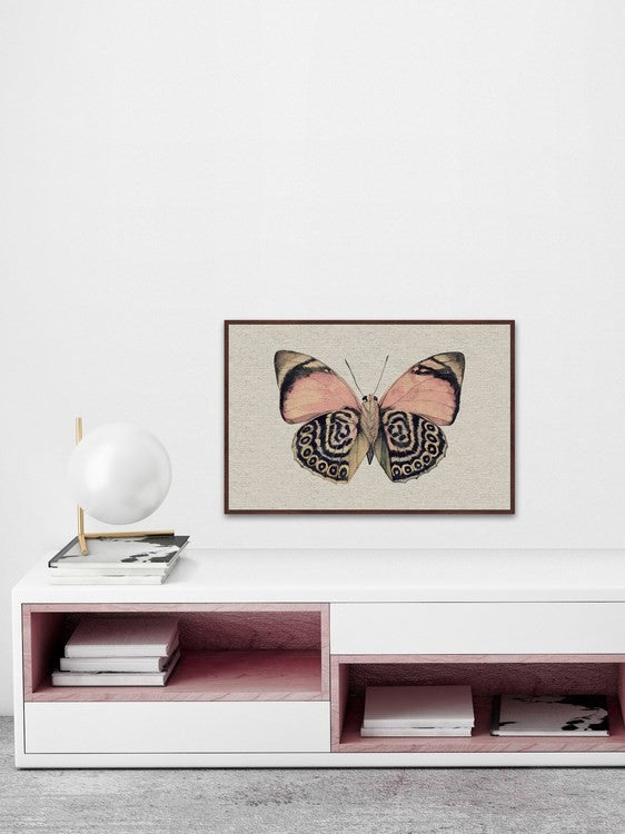 "Artsy Pink and Black Wings II" Floater Framed Painting Print, Canvas, 36"x24"