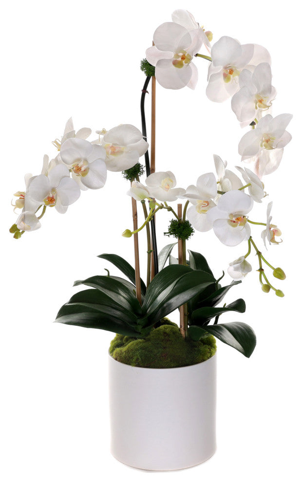 Real Touch Phalaenopsis Orchids, White Cylinder Pot