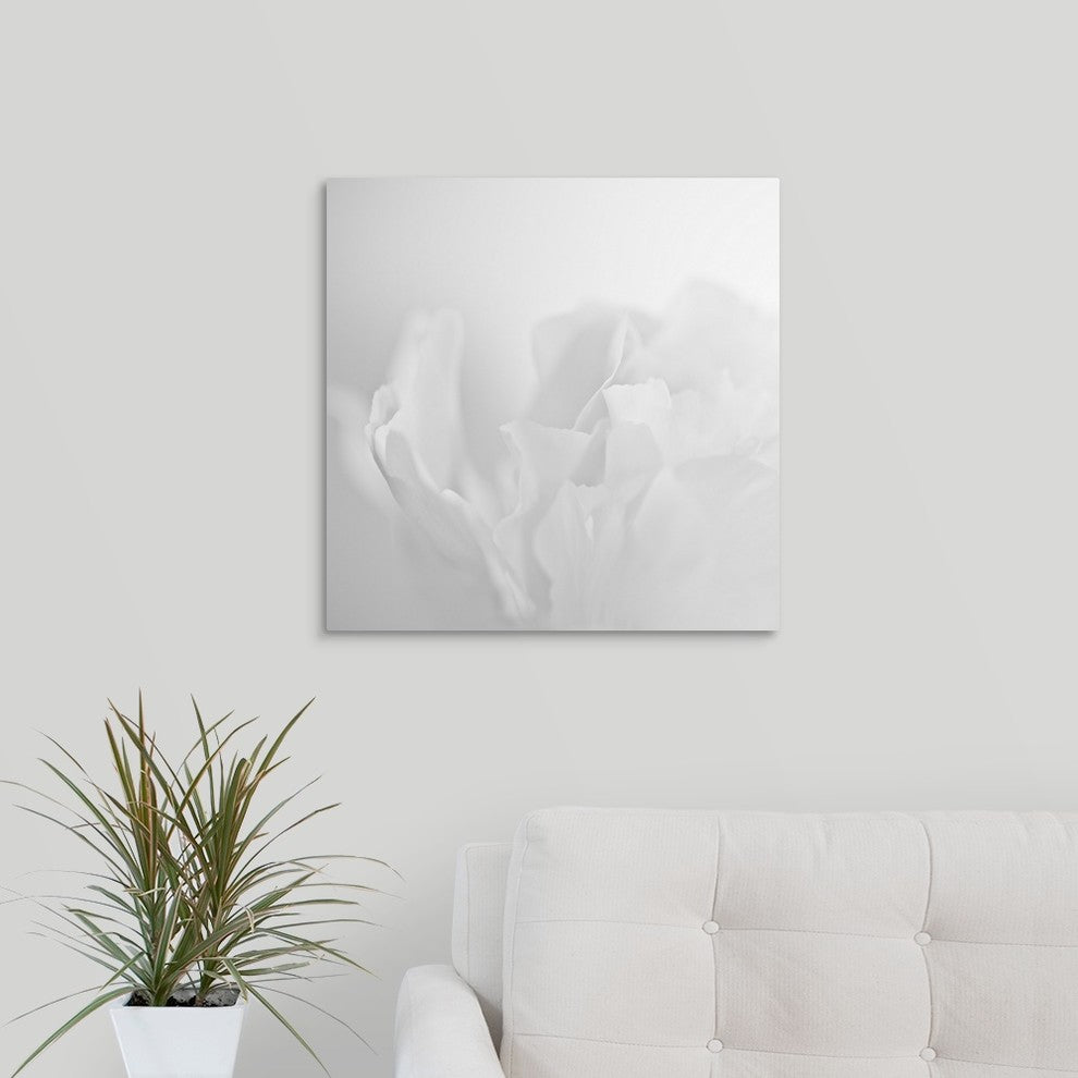"Oh So White" Wrapped Canvas Art Print, 20"x20"x1.5"