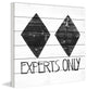 "Experts Only" Painting Print on White Wood, 24"x24"