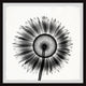"Sunflower Petals" Framed Painting Print, 24x24
