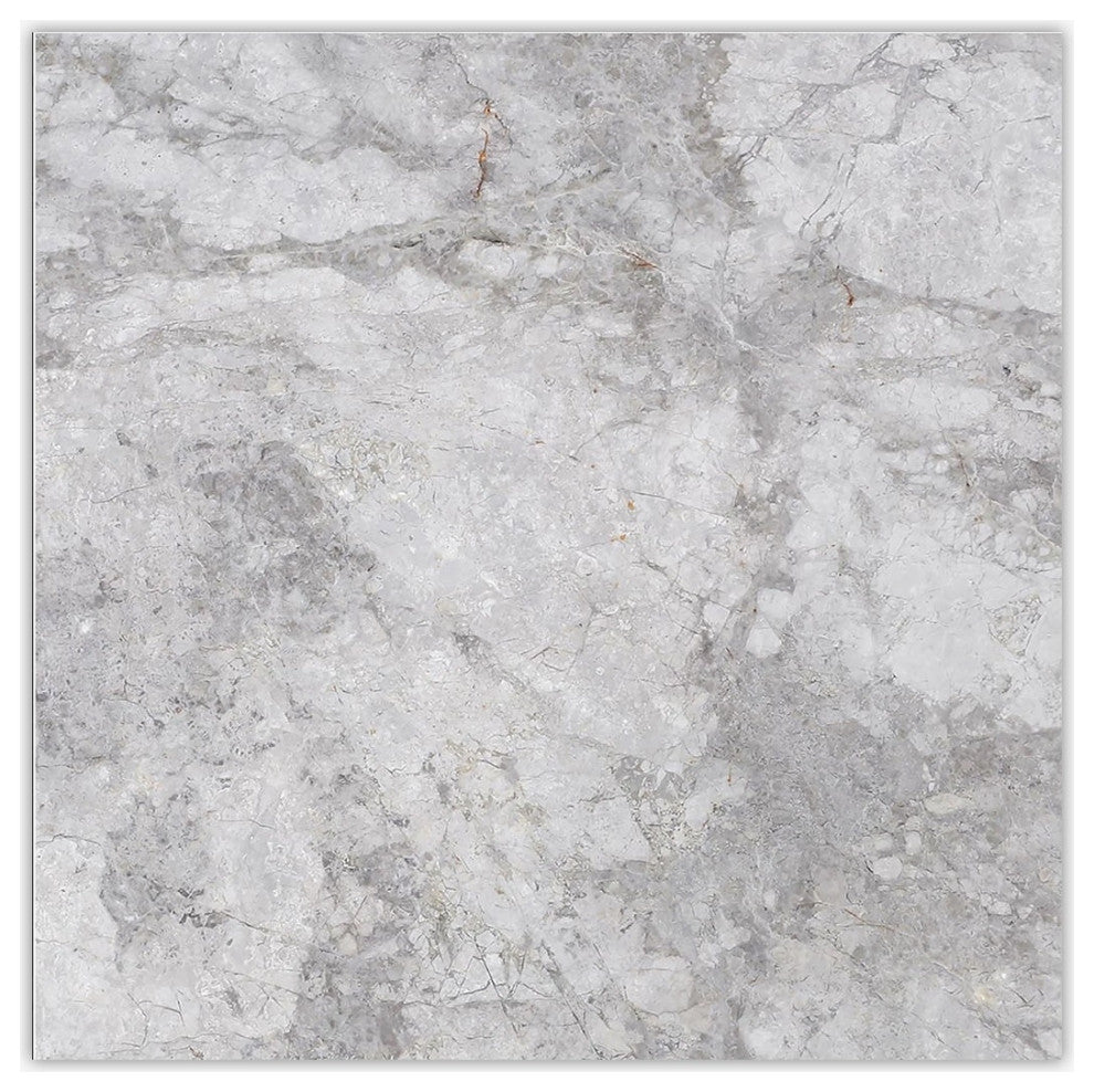 Silver Gray Light Honed 12x12 Marble Tile