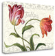 "Tulipa Botanica I Cream" By Lisa Audit, Giclee Print on Gallery Wrap Canvas