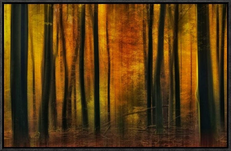 "Autumn Falls" Framed Canvas Giclee by Jan Paul Kraaij, 23x15"