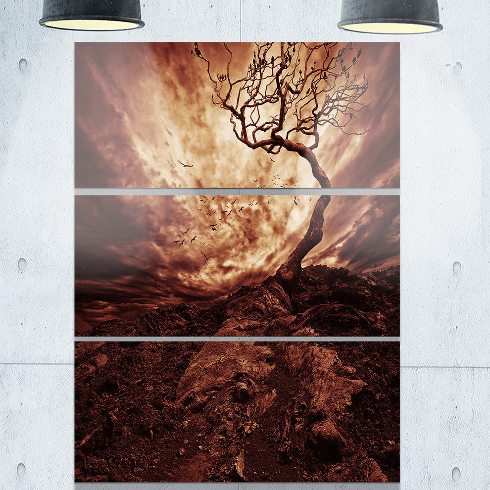 "Dramatic White Sun Over Lone Tree" Metal Landscape, 3 Panels, 28"x36"