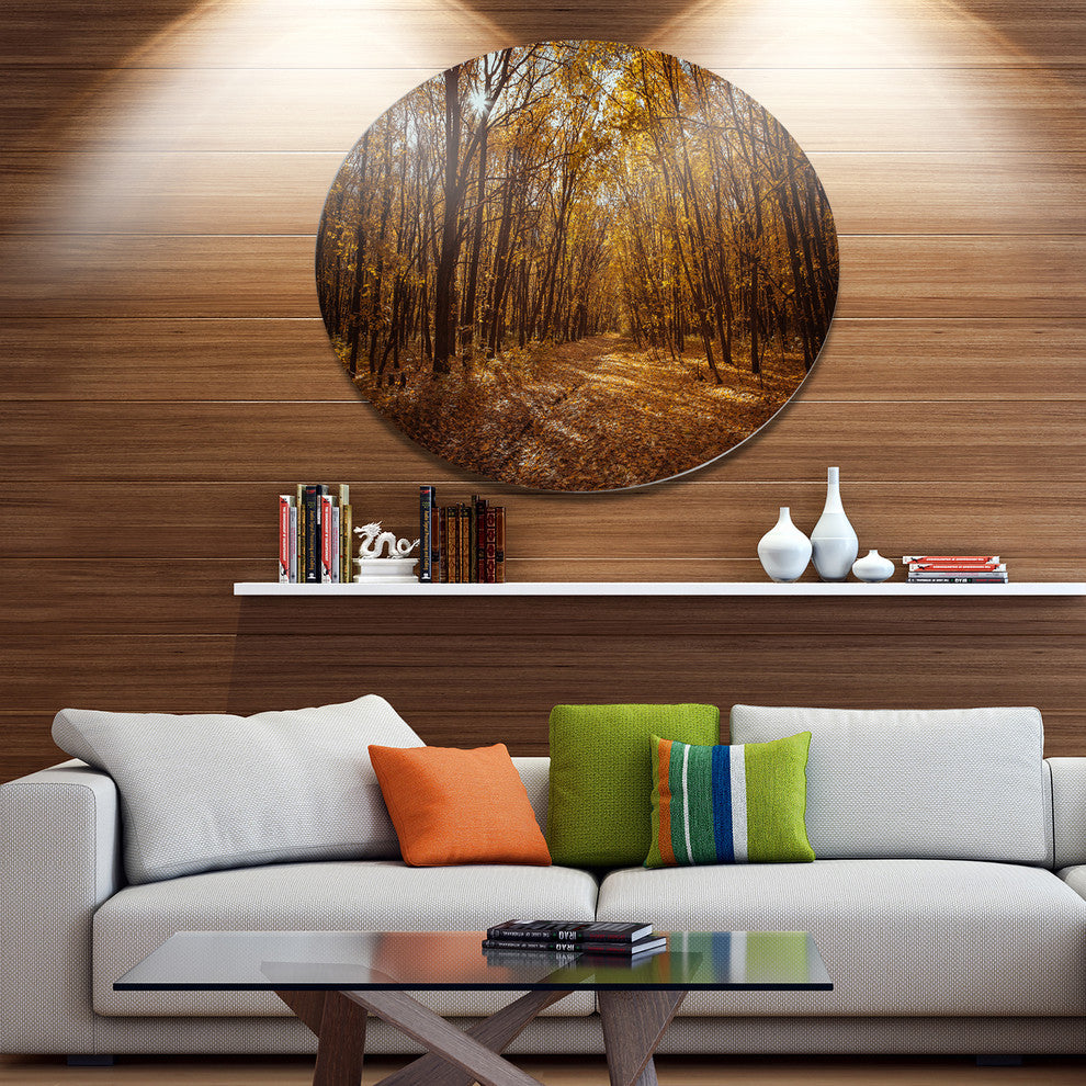 Sunset In Yellow Autumn Forest, Modern Forest Disc Metal Wall Art, 36"
