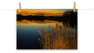 Farmhouse Art Decor: Sunset Reedy Point Landscape Photo Unframed Print, 12" X 18"