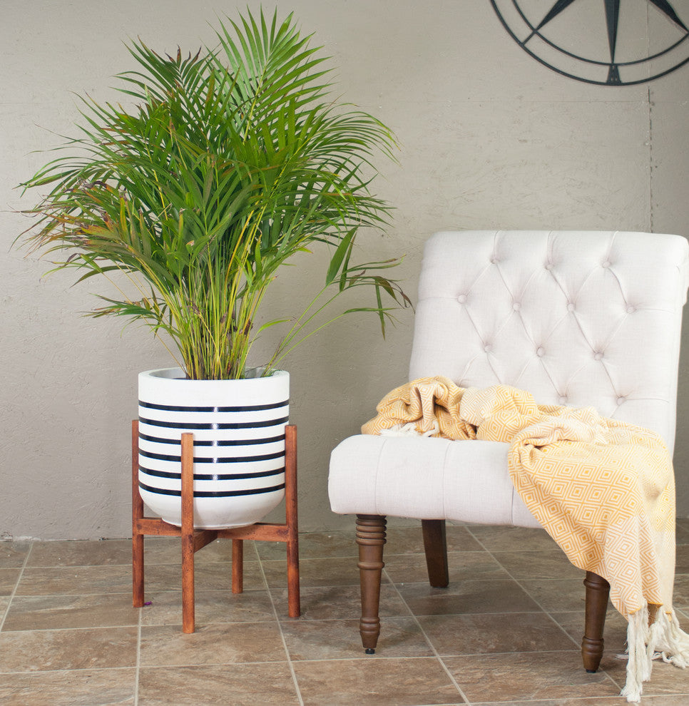 Extra Large Hand Painted Fiber Clay Pot 13'' With Plant Stand Set Walnut Color