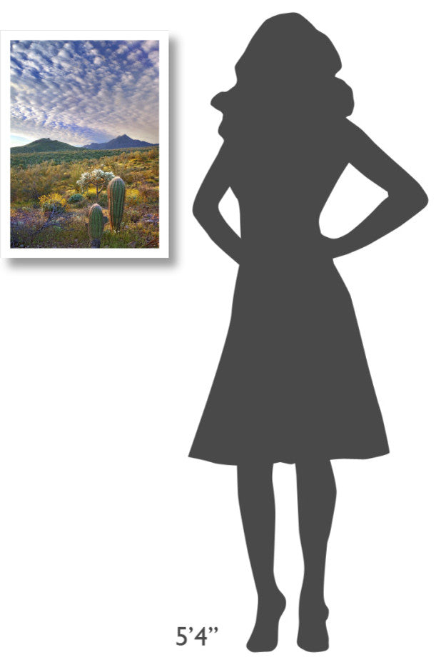 "Saguaro/Teddybear Cholla, Lupine/California Brittlebush" Paper Art, 17.62"x24"