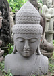 Large Volcanic Stone Buddha Bust