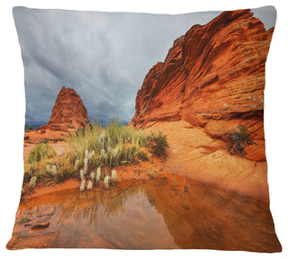 Clear Lake Vermillion Cliffs Landscape Printed Throw Pillow, 16"x16"