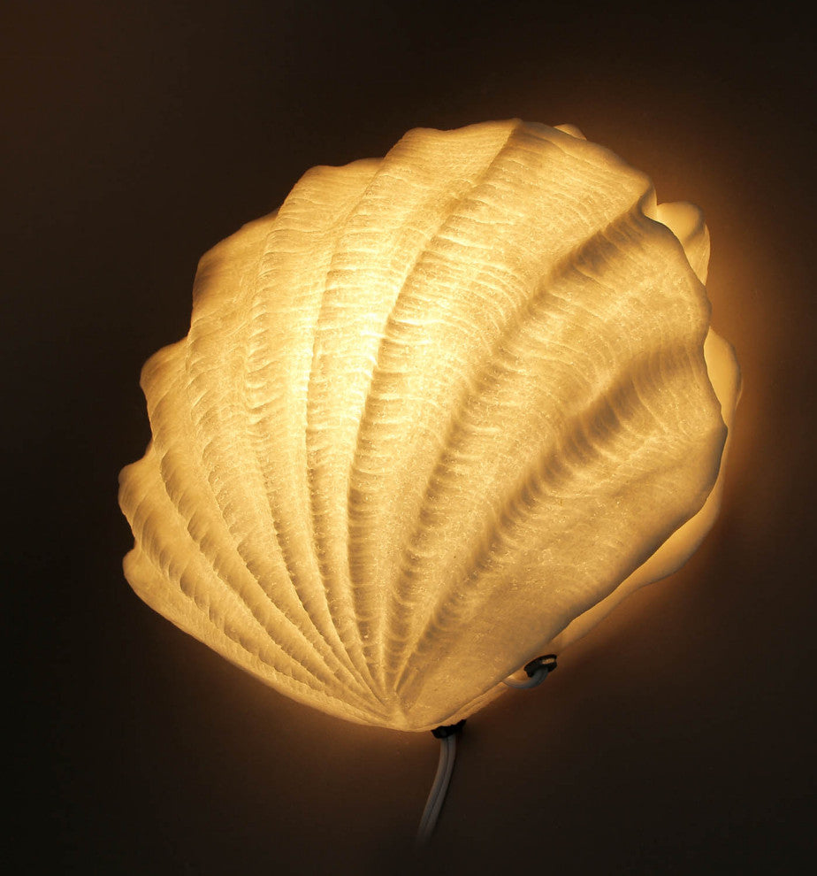 White Sandstone Finish Clam Shell Coastal Art Accent Lamp
