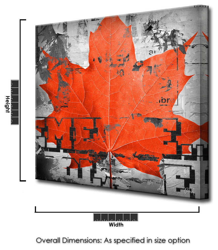 Fall Ink XXIII, Canvas Wall Art, 30"x30"