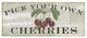 "Farm Fresh Cherries" Digital Paper Print by Sue Schlabach, 32"x14"