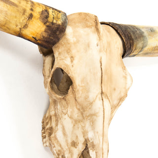 Bull Skull Wall Decor