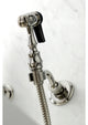 KS126XAXBS-P Heritage Wall Mount Bridge Kitchen Faucet with Brass Sprayer, Polis