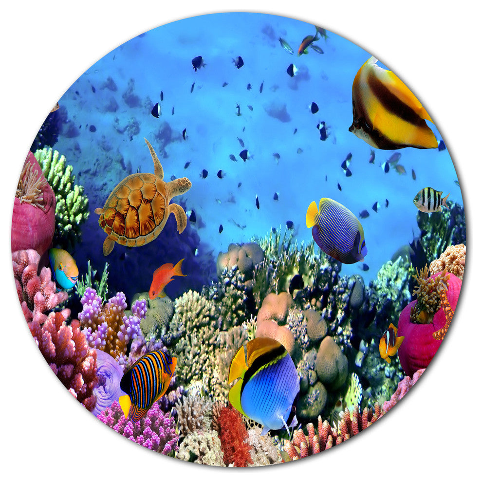 Coral Colony On Reef Egypt, Animal Disc Metal Artwork, 23"