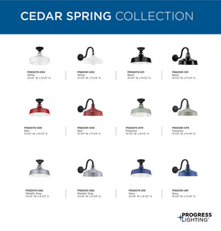 Cedar Springs Collection Navy 1-Light Semi-Flush Mount