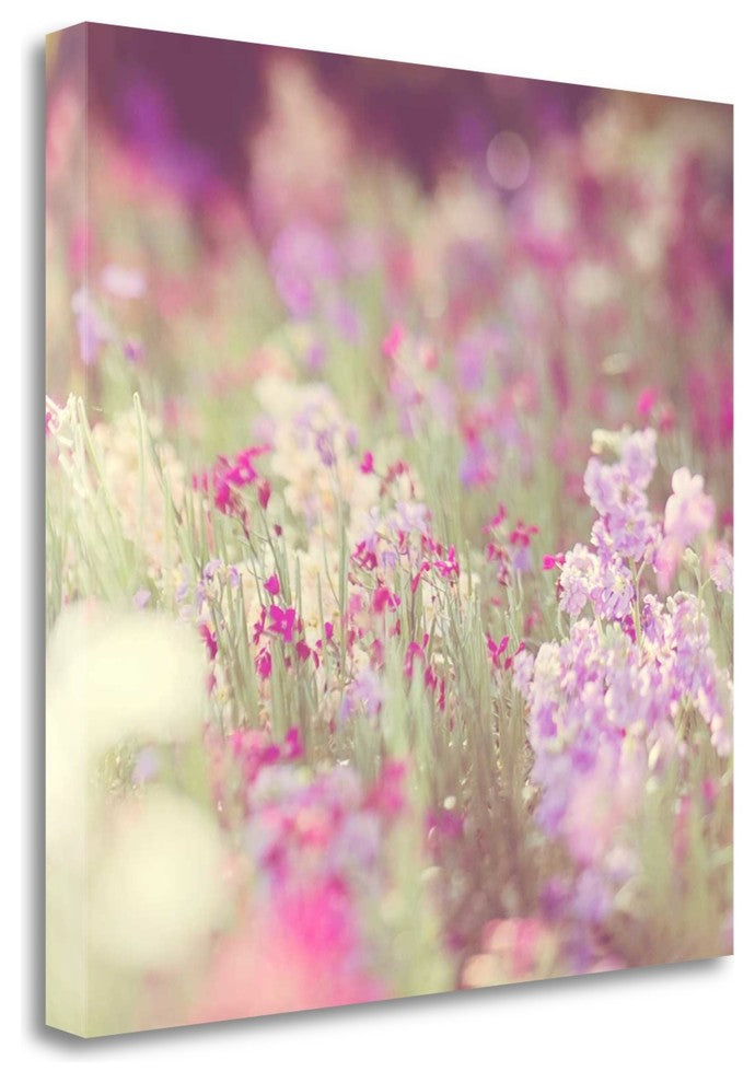 "Monet" By Myan Soffia, Giclee Print on Gallery Wrap Canvas, Ready to Hang