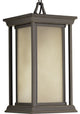 Endicott 1-Light Hanging Lantern