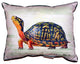 Happy Turtle Small Indoor/Outdoor Pillow 11x14 - Set of Two