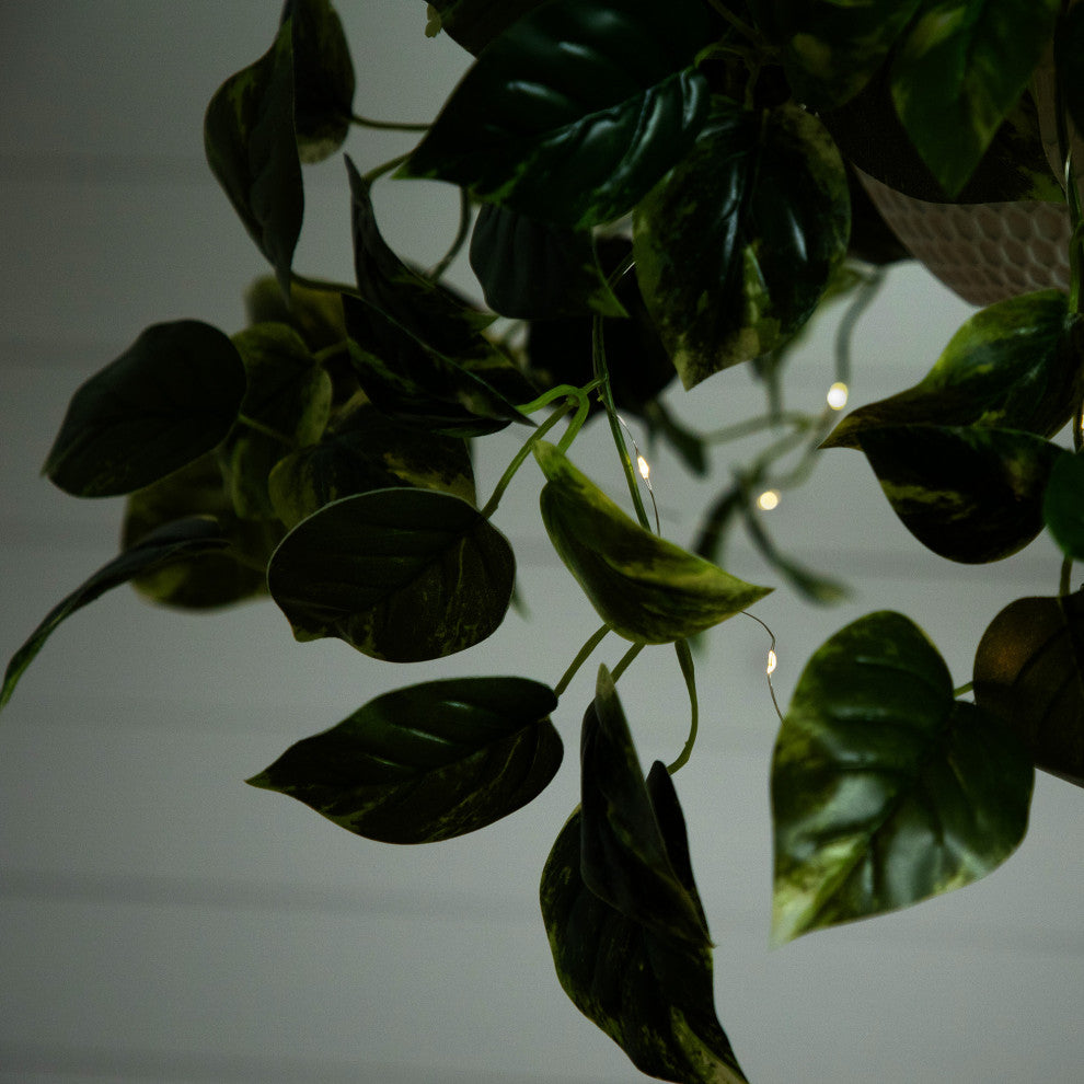 24in. Prelit UV Resistant Artificial Pothos, White Hanging Basket