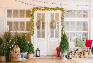 Dreidel Pattern Indoor/Outdoor Throw Pillow, Light Green, 18"x18"