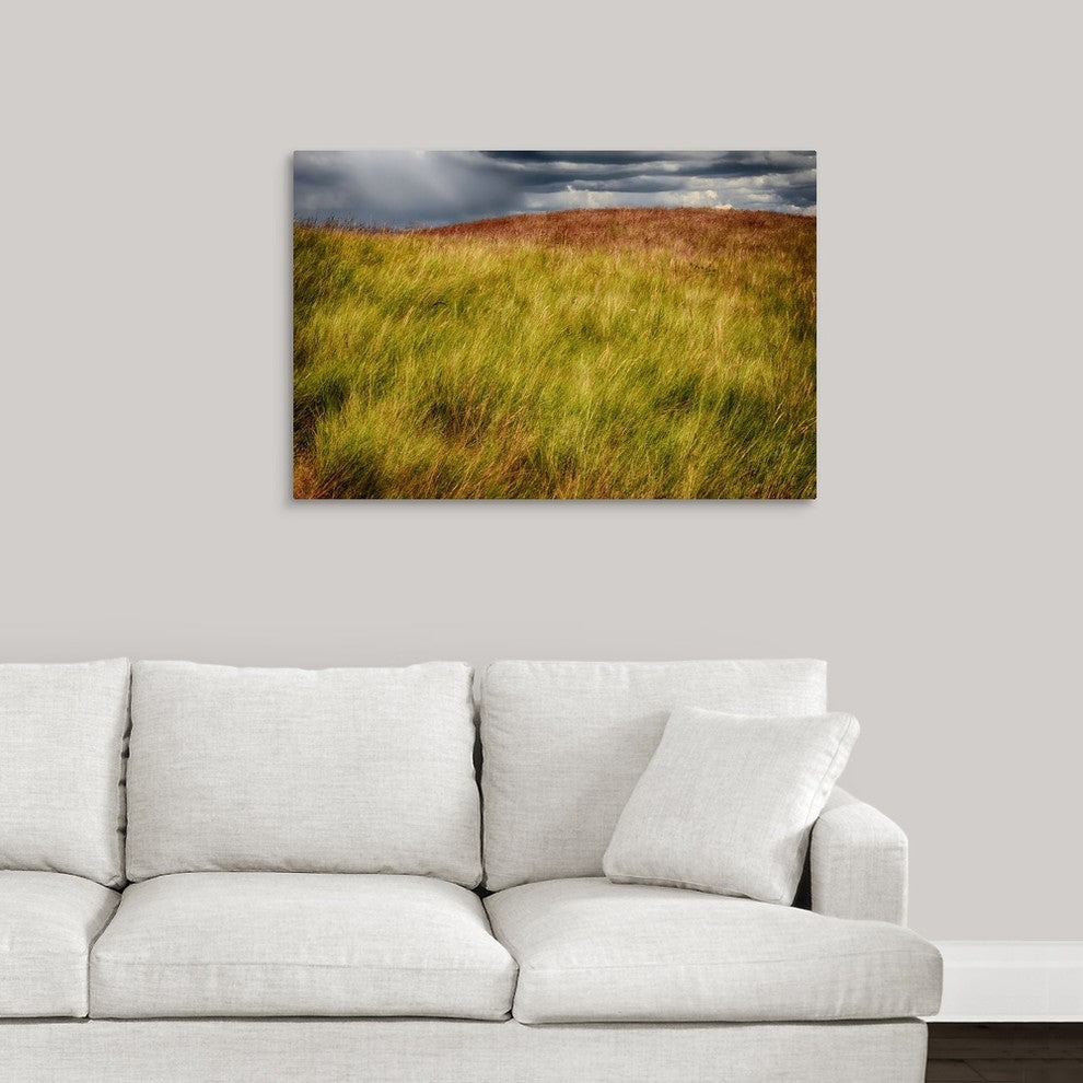 "Grasses On A Stormy Day" Wrapped Canvas Art Print, 36"x24"x1.5"