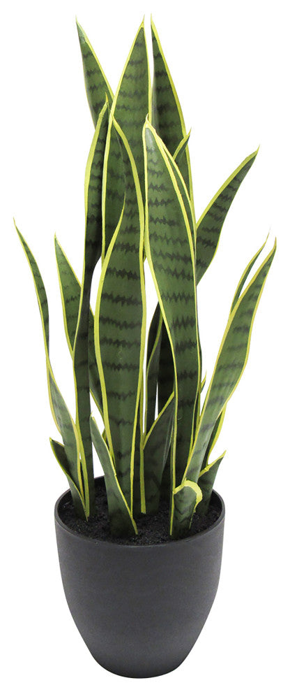 26" Yellow Artificial Sansevieria Snake Plant, Black Pot
