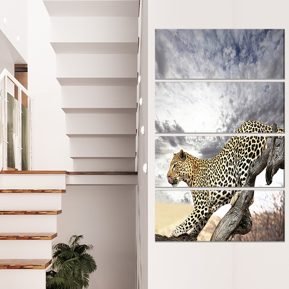Leopard on Tree under Cloudy Sky, African Wall Art Print, 28"x48", 4 Panels