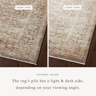 Loloi Sonnet Mocha / Tan 18" x 18" Sample Rug