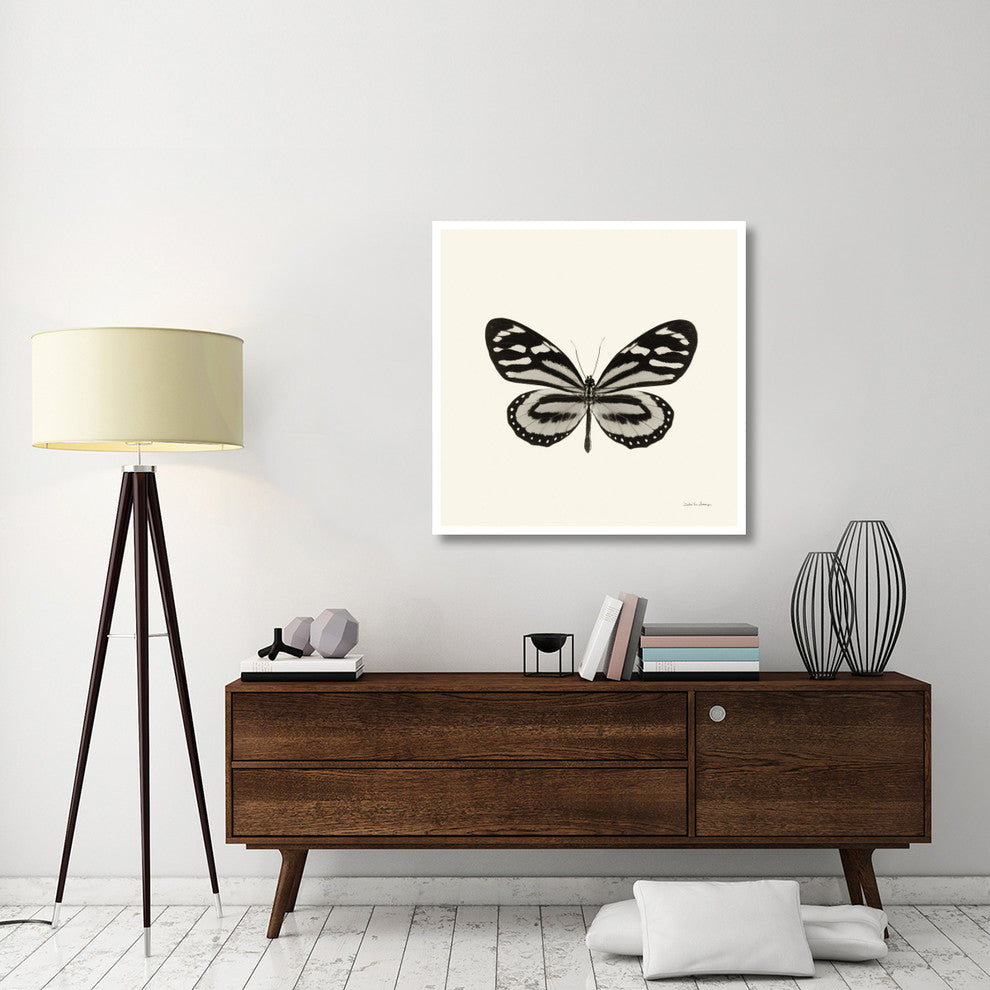 "Butterfly VIII - BW" Digital Paper Print by Debra Van Swearingen, 38"x38"