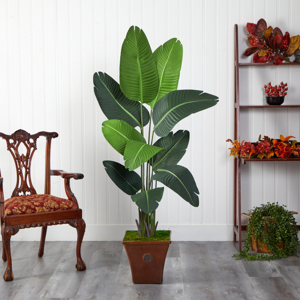 5.5' Travelers Palm Artificial Tree, Brown Planter