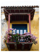 Indoor/Outdoor Wall Decor ''Provincial XIV'' in ArtPlexi, 30"x20"