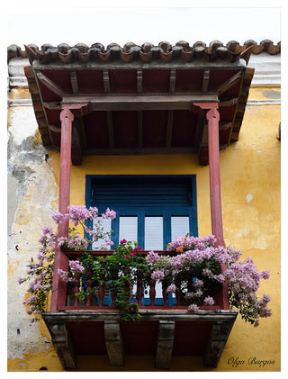 Indoor/Outdoor Wall Decor 'Provincial XIV' in ArtPlexi, 30"x20"