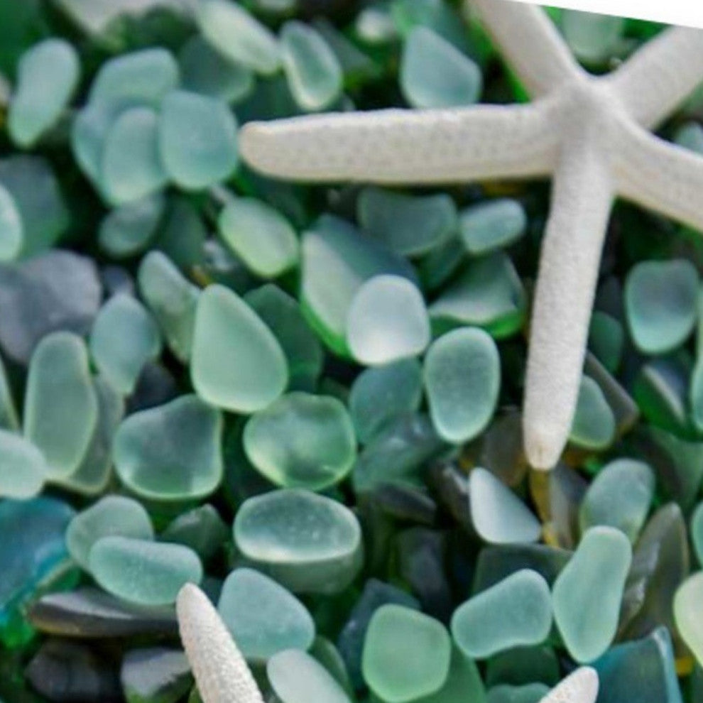 21" Two Starfish and Green Seaglass Giclee Wrap Canvas Wall Art