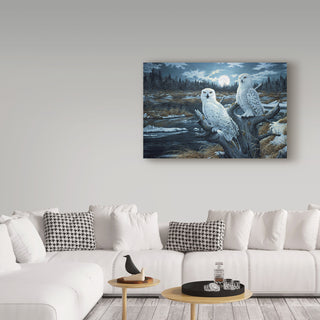 Jeff Tift 'Snowy Owls' Canvas Art, 47"x30"