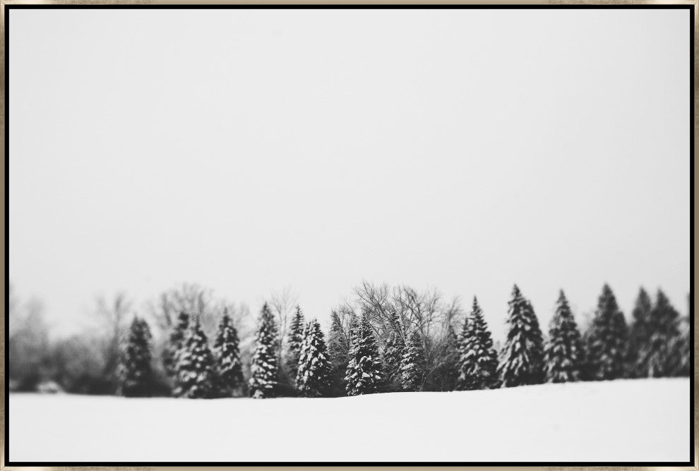 36x24 Pine Line, Framed Artwork, Silver