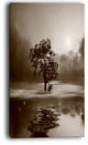 "Alone Tree on Island in Sepia" Wall Art Landscape, 16"x32"