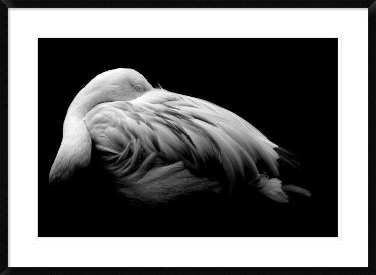 "Be Me" Framed Digital Print by Summer Ice, 38"x28"