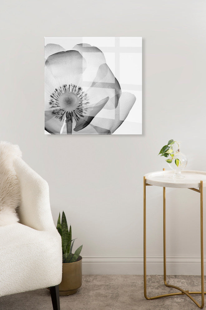 Poppy X Ray Floral Acrylic Art by The Creative Bunch Studio, Assorted 23x23