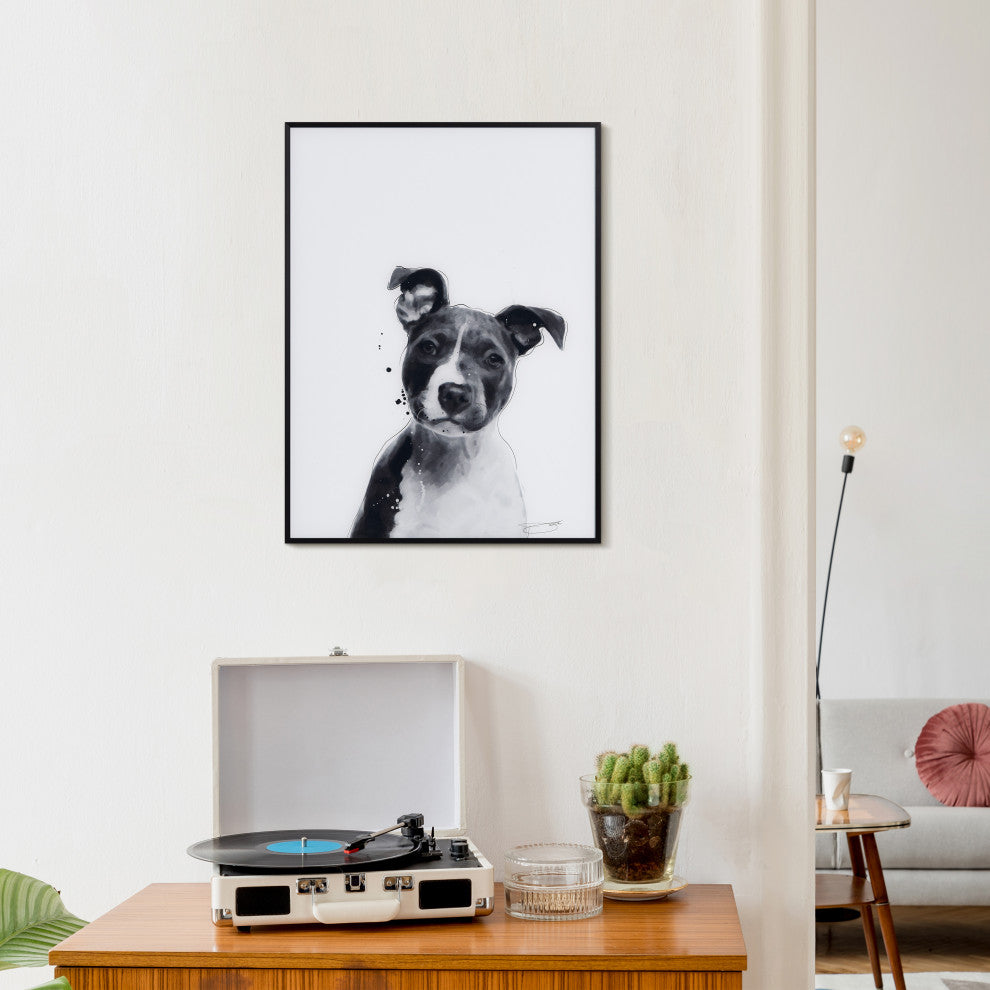 "Pitbull" Black and White Pet Art on Printed Glass Encased with Anodized Frame