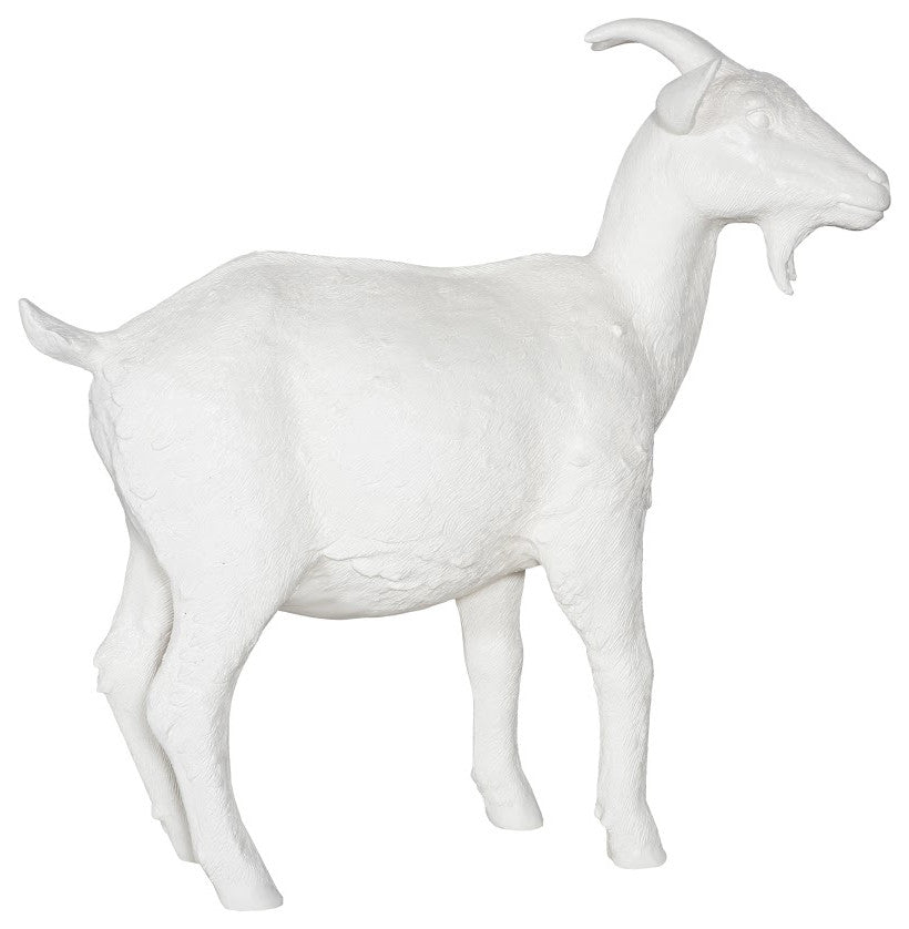 Goat, Off White