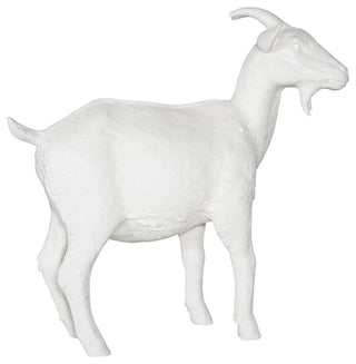 Goat, Off White