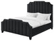 Inspired Home Zaida Bed, Velvet Upholstered, Black, King